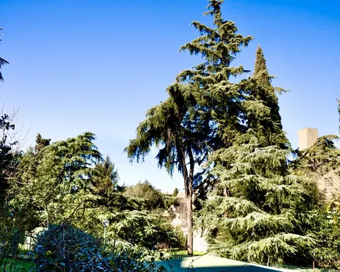 The 3,000 sqm private park at Nazareth Residence with old cedars and a medieval Viterbo tower behind